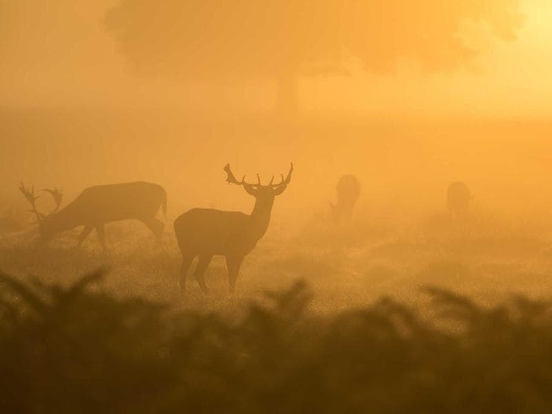Arhitektonski projekti i dizajn